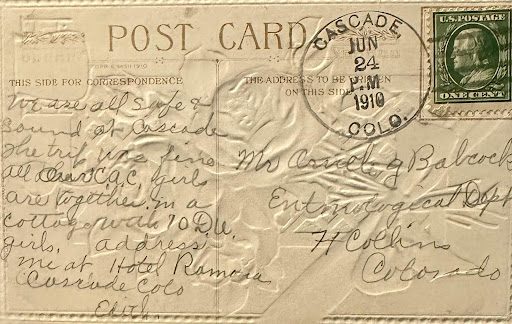 Card Card