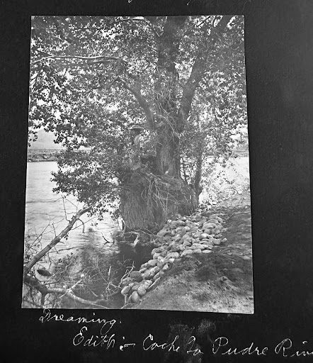 “Dreaming” on the bank of Cache-La-Poudre River
