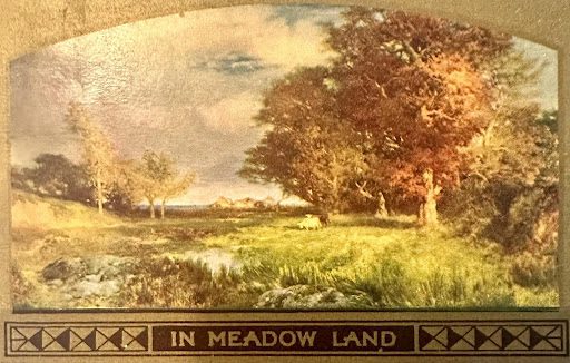 In meadow In meadow