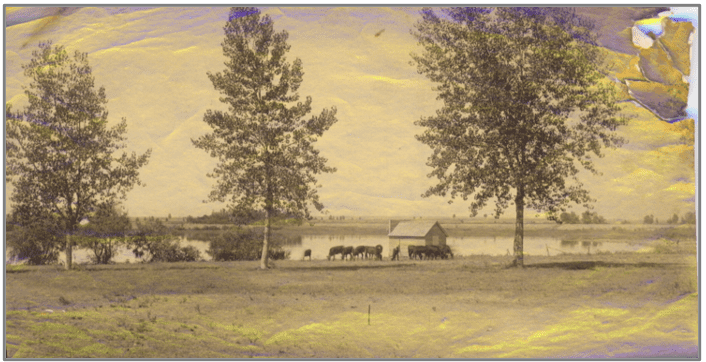 Screenshot 2025-04-02 084849 Mead Icehouse 1880’s