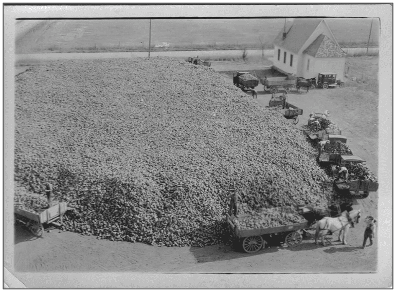 Screenshot 2025-04-02 210030 The Mead Beet Dump (c. 1920’s) before they are loaded onto the train.
The Guardian Angels Church is beside it.