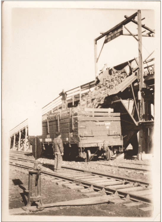 Screenshot 2025-04-02 210952 Sugar beets being loaded onto rail car.