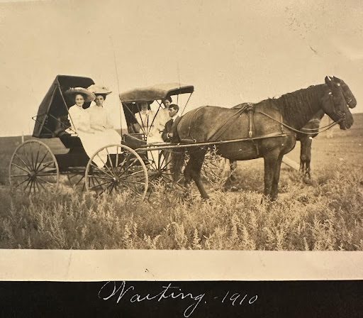 Edith seated in buggy and Orville standing.
They sometimes took a horse buggy to Berthoud, Colorado to visit the Knoll family.

